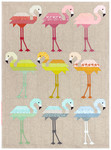 Florence Flamingo photos