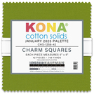 Kona® Cotton - January 2025 Palette Charm Square