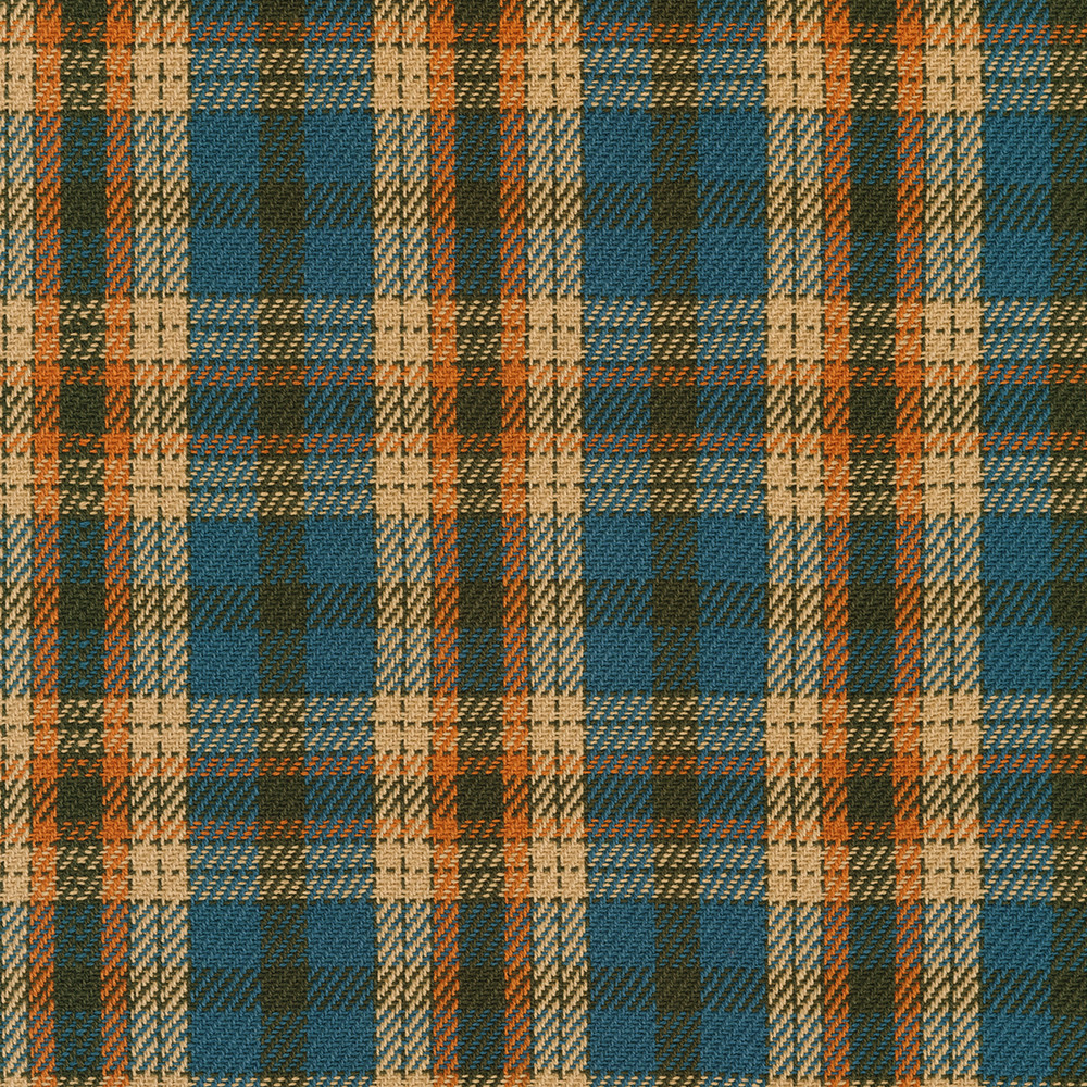 Baja Blanket Plaid fabric