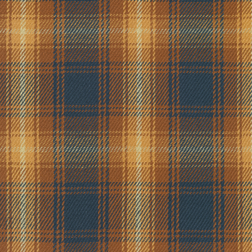 Baja Blanket Plaid fabric