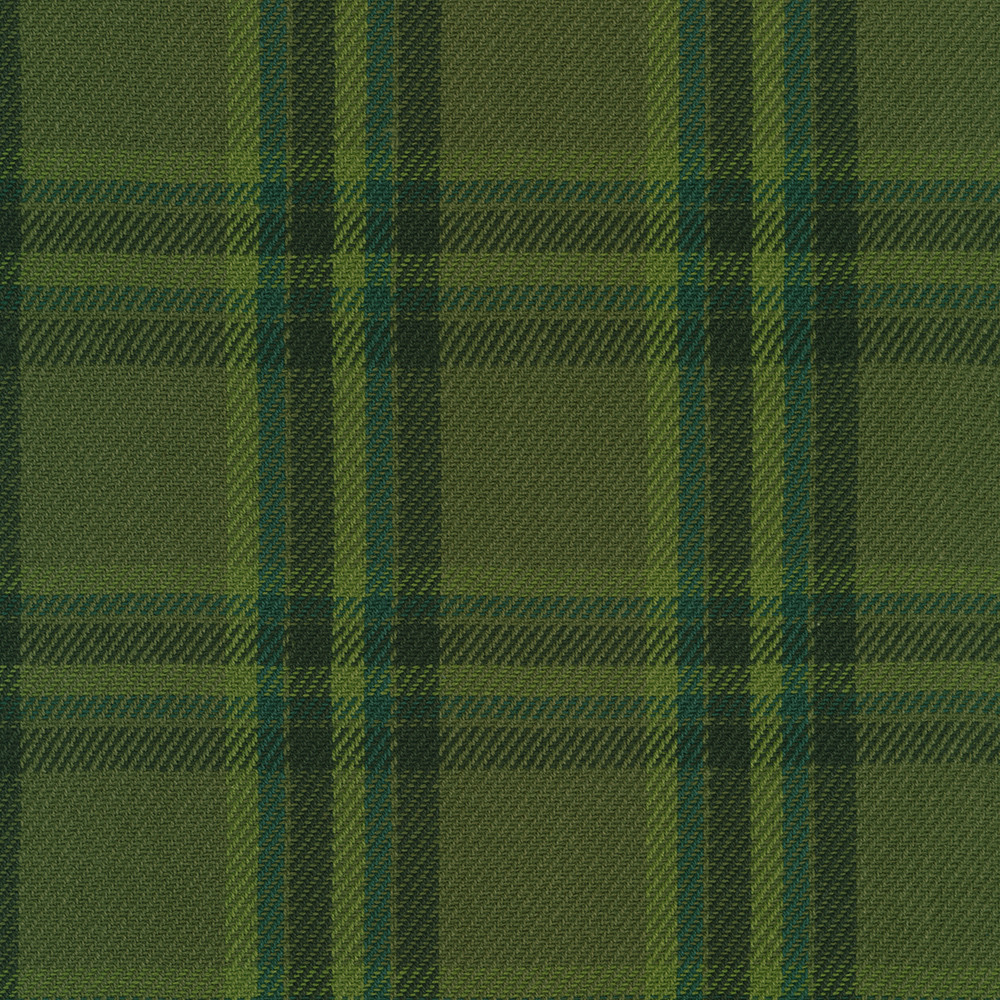 Baja Blanket Plaid fabric