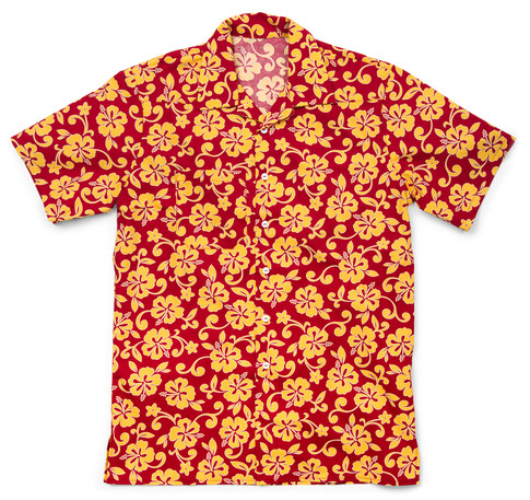 Simplicity Shirt #4760 Designer Pattern: Robert Kaufman Fabric Company